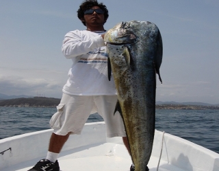 peces de huatulco